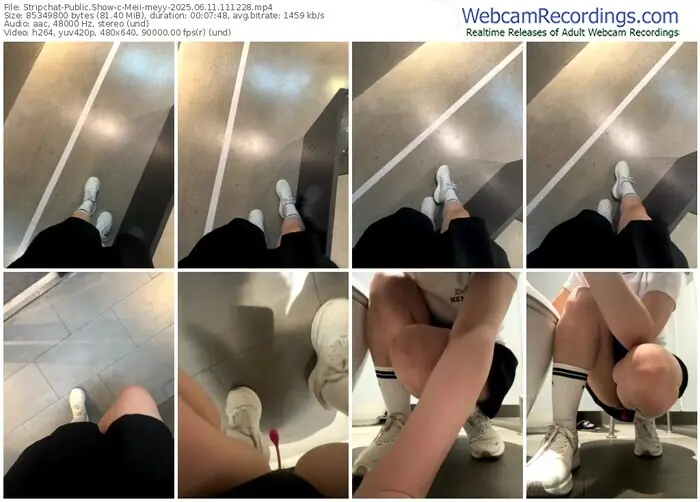 2025/06/11/stripchat-meii-meyy-11-12-28