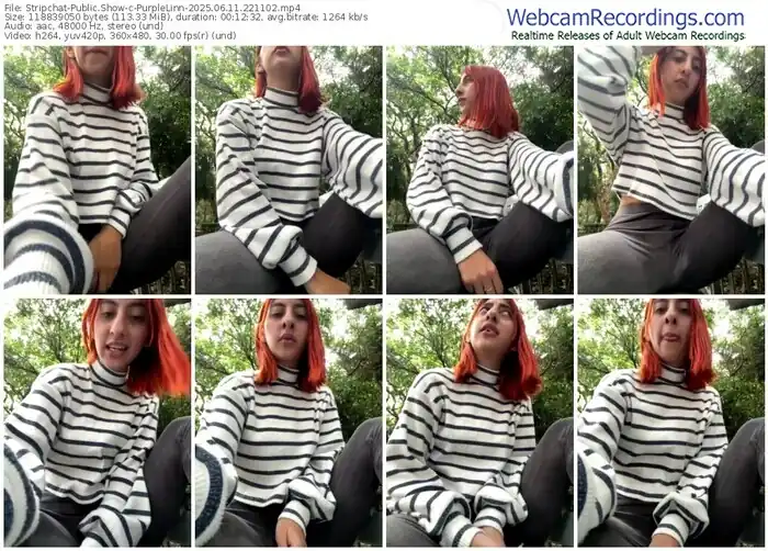 2025/06/11/stripchat-purplelinn-22-11-02