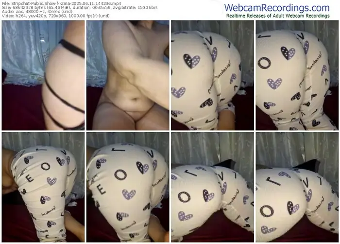 2025/06/11/stripchat--zina-14-42-36
