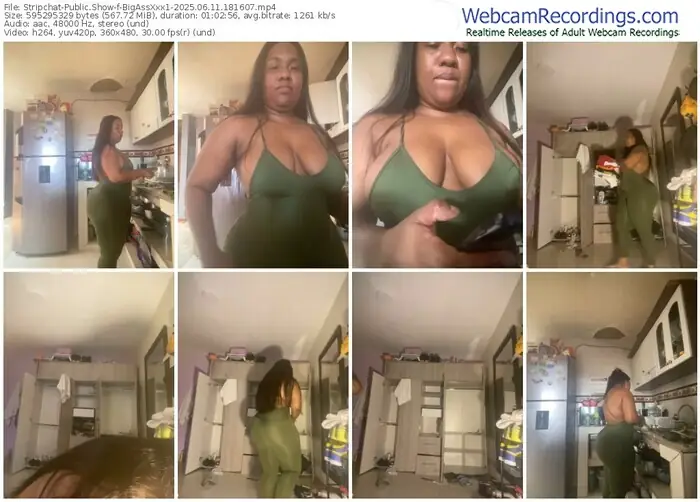 2025/06/11/stripchat-bigassxxx1-18-16-07