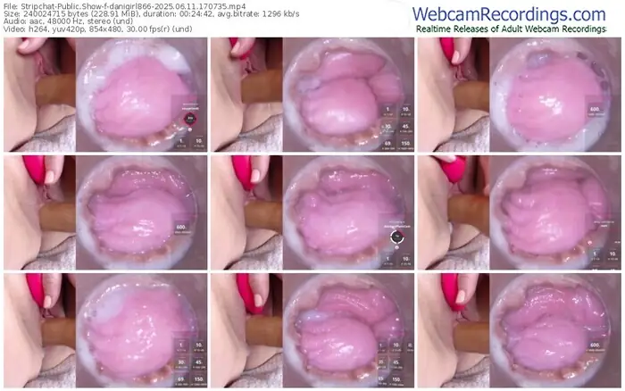 2025/06/11/stripchat-danigirl866-17-07-35