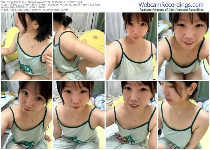 2025/06/11/stripchat-linko12334-13-39-52