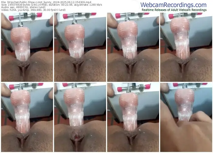 2025/06/12/stripchat-hot_bunny_2024-15-43-09
