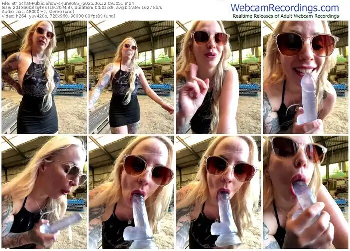 2025/06/12/stripchat-june695_-09-10-51