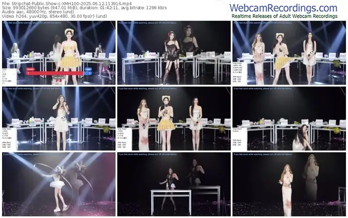 2025/06/12/stripchat-xmh100-11-39-16