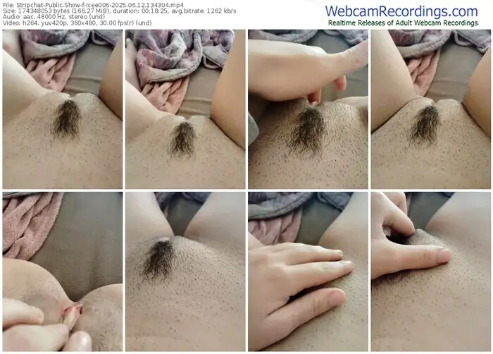 2025/06/12/stripchat-icee006-13-43-04