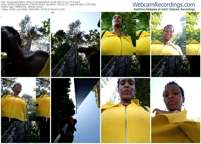 2025/06/12/stripchat-streetdoll24-11-17-42