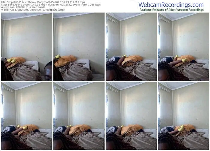 2025/06/13/stripchat-danymash25-11-23-17