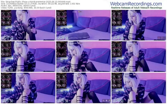 2025/06/13/stripchat-hardcorehentai-09-34-49
