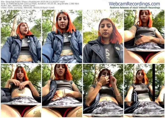 2025/06/13/stripchat-purplelinn-20-25-37