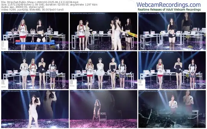 2025/06/13/stripchat-xmh100-11-42-38