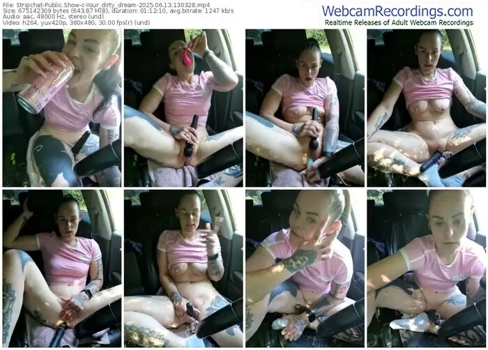 2025/06/13/stripchat-your_dirty_dream-13-03-28