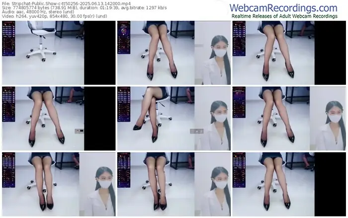 2025/06/13/stripchat-tt50256-14-20-00