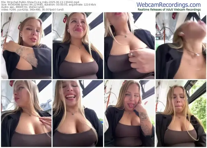 2025/06/13/stripchat-liza_risky-13-34-42