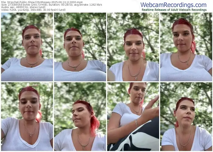 2025/06/13/stripchat-ririroseey-11-30-00