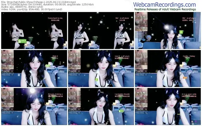 2025/06/13/stripchat-sheep-1-13-18-43