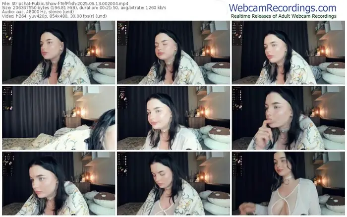 2025/06/13/stripchat-tefffish-00-20-04