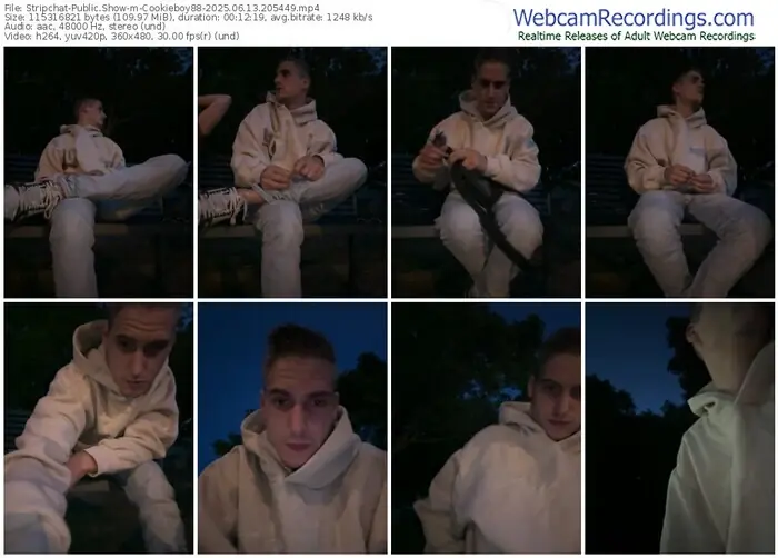 2025/06/13/stripchat-cookieboy88-20-54-49
