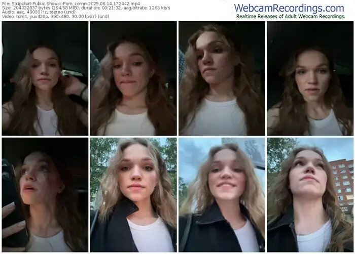 2025/06/14/stripchat-porn_cornn-17-24-42