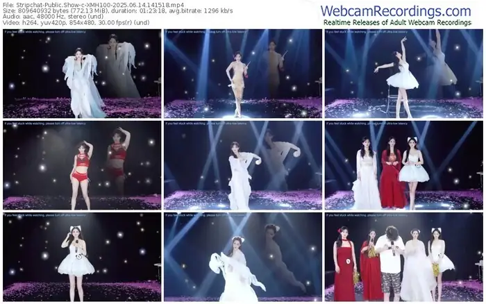 2025/06/14/stripchat-xmh100-14-15-18