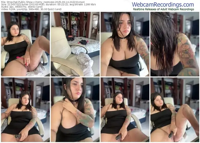2025/06/14/stripchat-horny_roomiess-20-22-33
