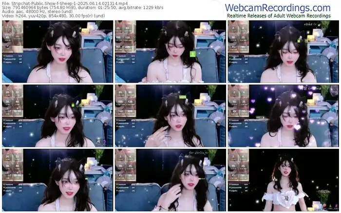 2025/06/14/stripchat-sheep-1-02-13-14
