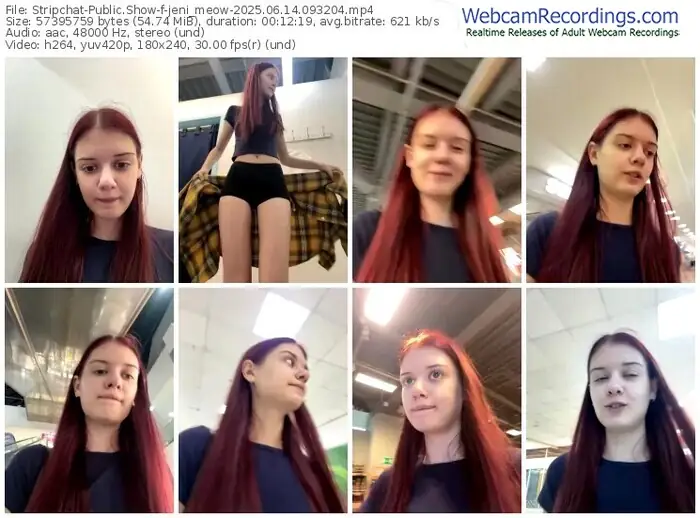 2025/06/14/stripchat-jeni_meow-09-32-04