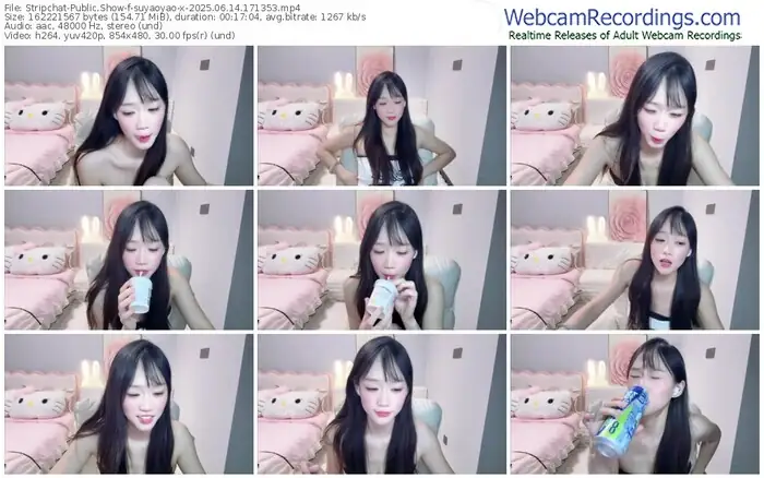 2025/06/14/stripchat-suyaoyao-x-17-13-53