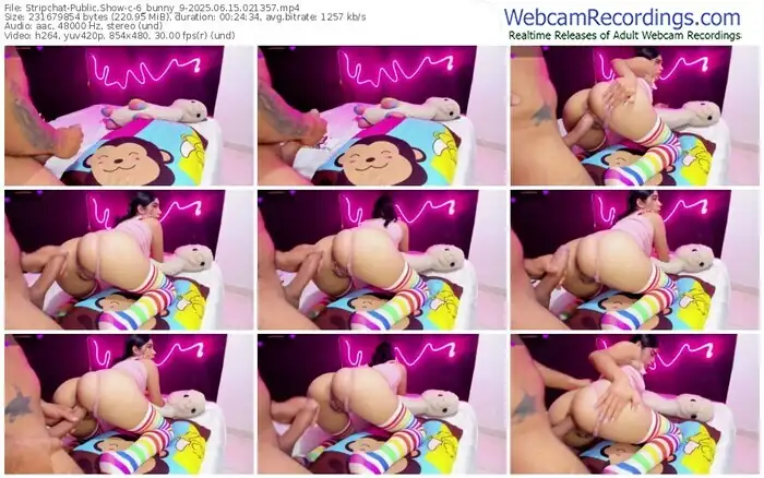 2025/06/15/stripchat-6_bunny_9-02-13-57