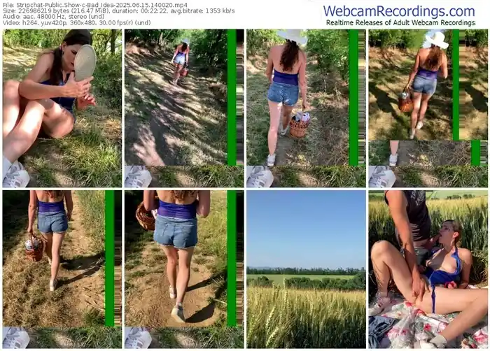 2025/06/15/stripchat-bad_idea-14-00-20