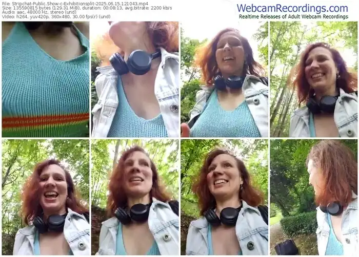 2025/06/15/stripchat-exhibitionsplit-12-10-43