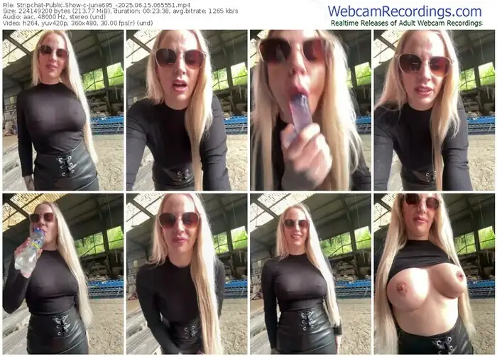 2025/06/15/stripchat-june695_-06-55-51