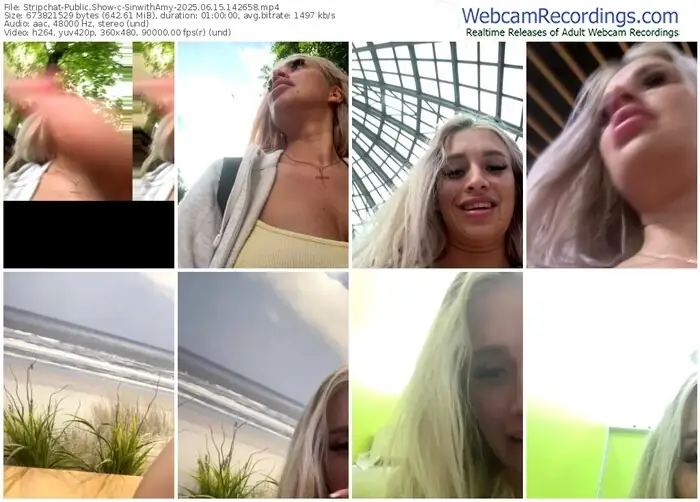 2025/06/15/stripchat-sinwithamy-14-26-58