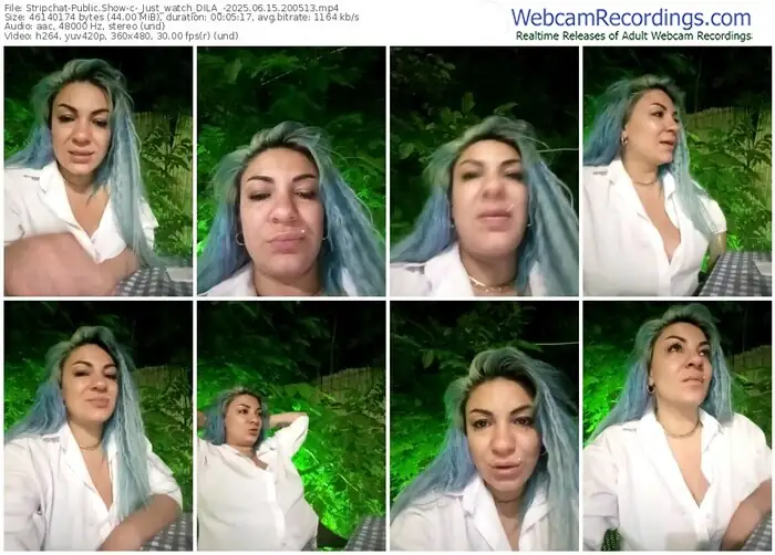 2025/06/15/stripchat-_just_watch_dila_-20-05-13
