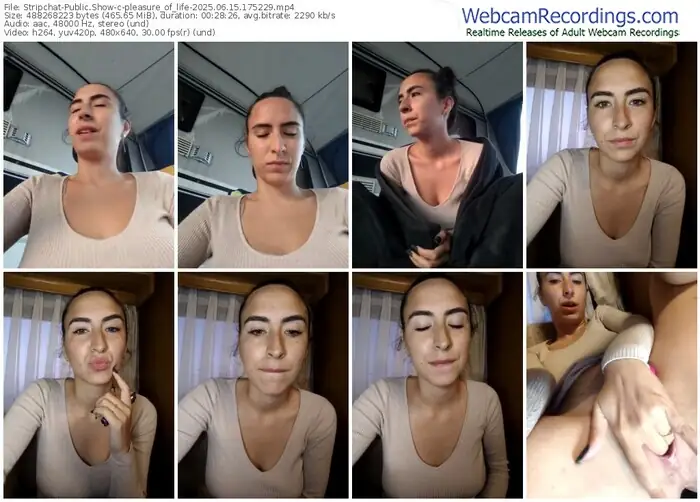 2025/06/15/stripchat-pleasure_of_life-17-52-29