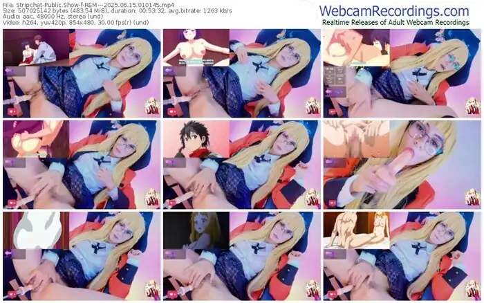 2025/06/15/stripchat-rem---01-01-45