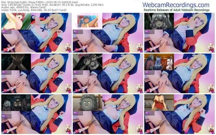 2025/06/15/stripchat-rem---02-46-25