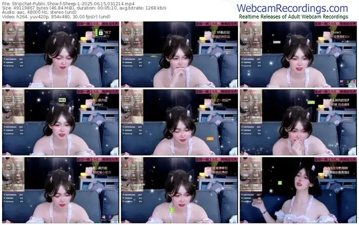 2025/06/15/stripchat-sheep-1-03-12-14