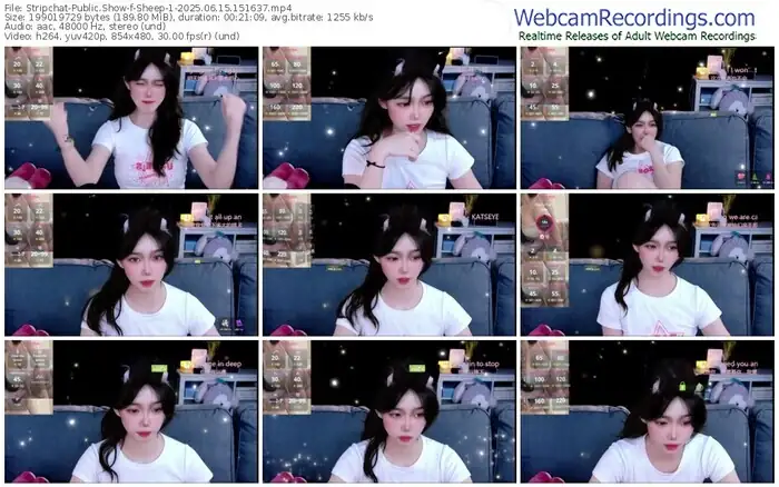 2025/06/15/stripchat-sheep-1-15-16-37