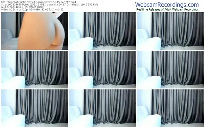 2025/06/15/stripchat-haerinn-04-07-17