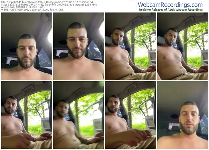 2025/06/15/stripchat-pablo_hornyguy95-15-17-56