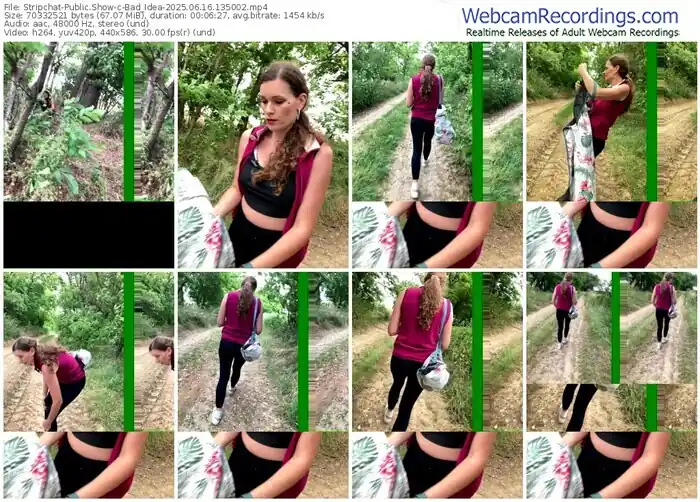 2025/06/16/stripchat-bad_idea-13-50-02