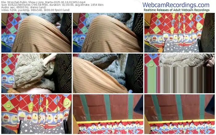 2025/06/16/stripchat-jony_marta-01-34-52