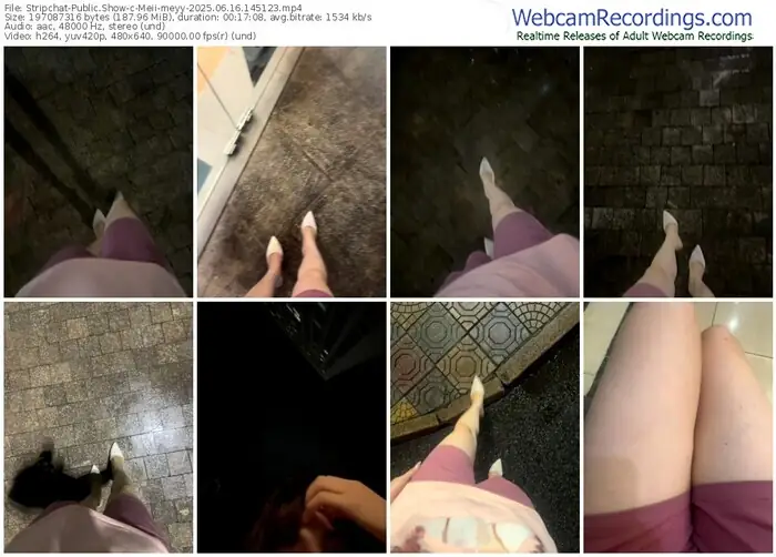 2025/06/16/stripchat-meii-meyy-14-51-23