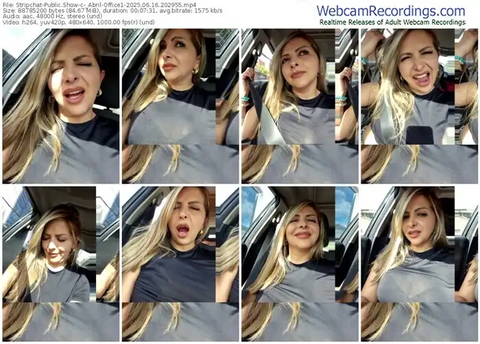 2025/06/16/stripchat-_abril-office1-20-29-55