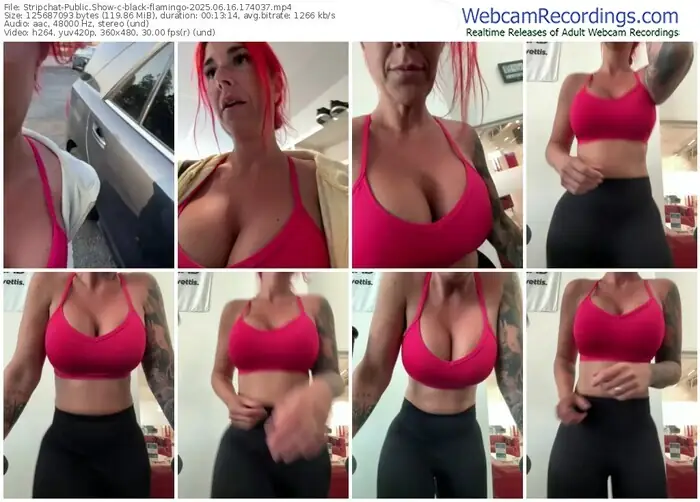 2025/06/16/stripchat-black-flamingo-17-40-37