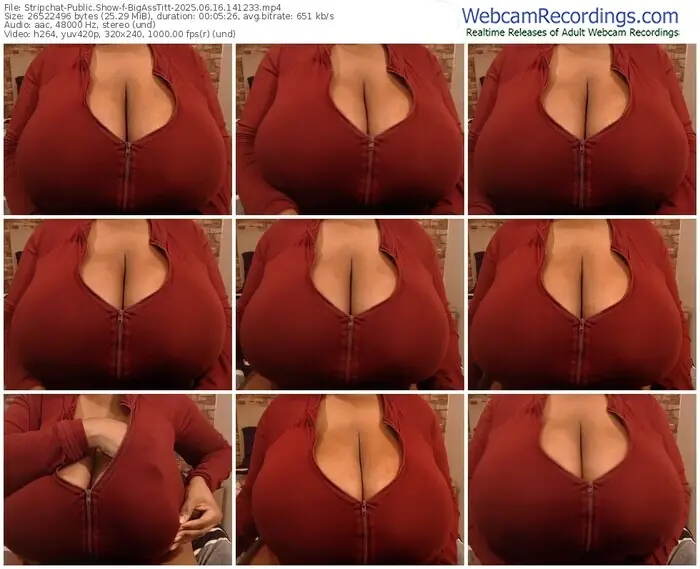 2025/06/16/stripchat-bigasstitt-14-12-33