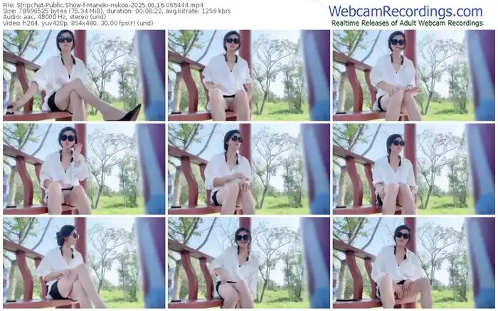 2025/06/16/stripchat-maneki-nekoo-06-54-44