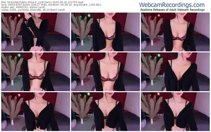2025/06/16/stripchat-_lostcherry-14-37-20