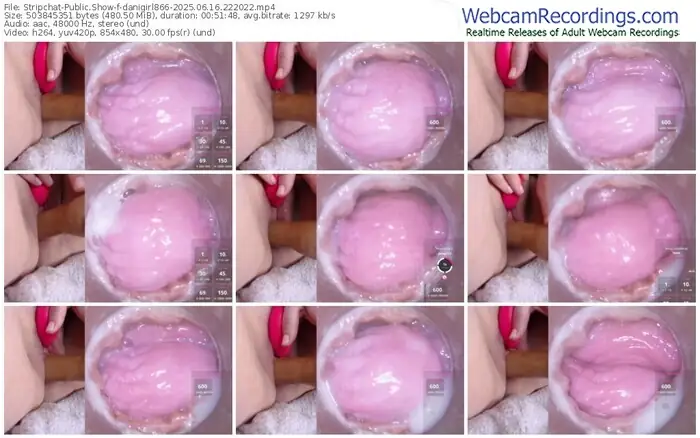 2025/06/16/stripchat-danigirl866-22-20-22